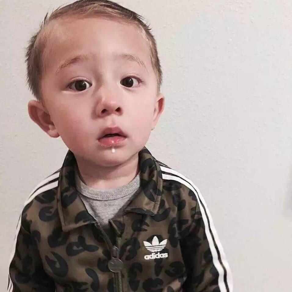 一只川渝老胡在🖐️🈷️🌸