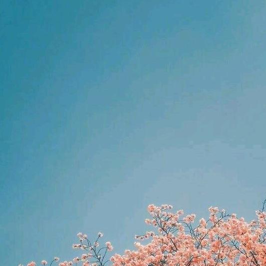 呵