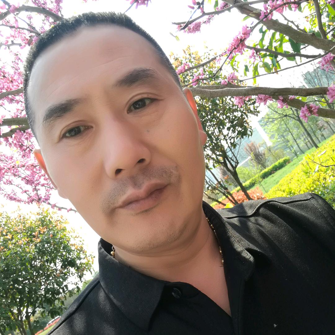 河南老张