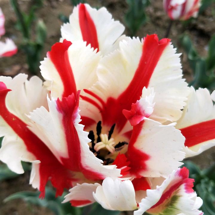 开心^_^过好每一天✊✊✊