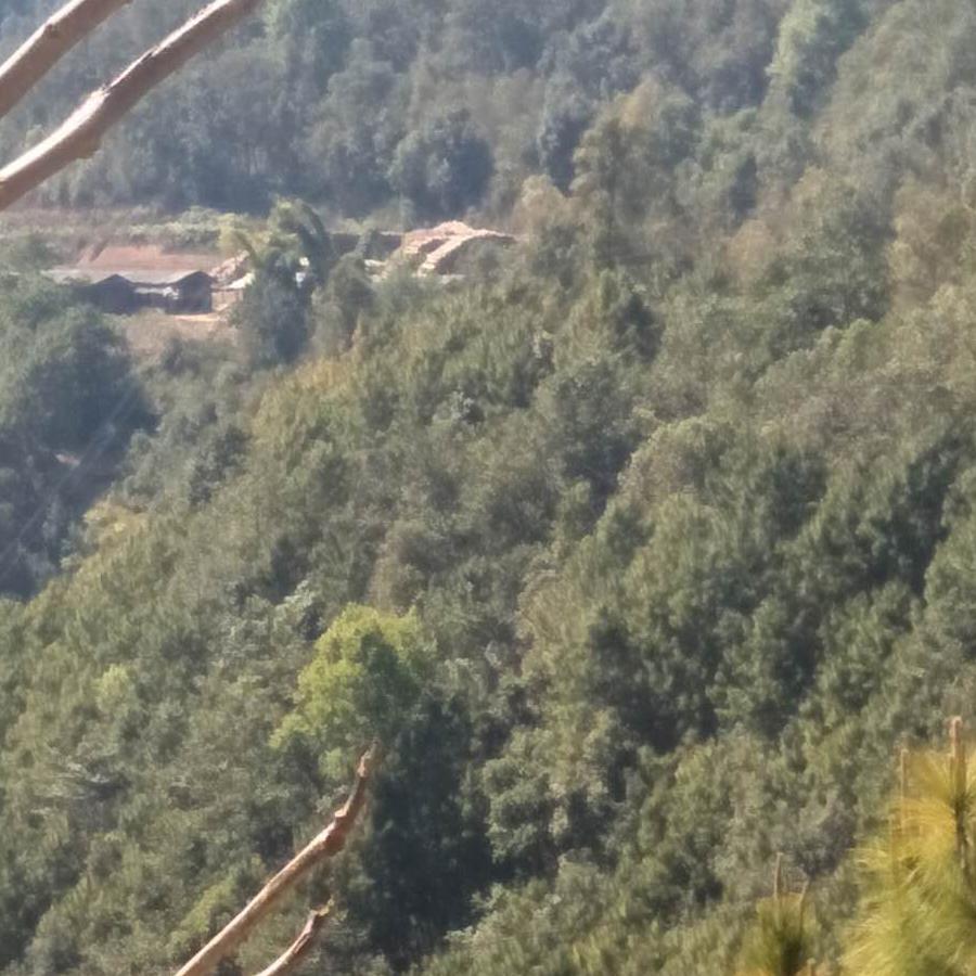 忘掉以前，从头再来