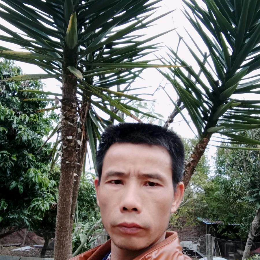 热闹的广场