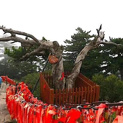 伏羲崖