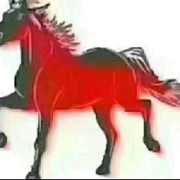 我本善良