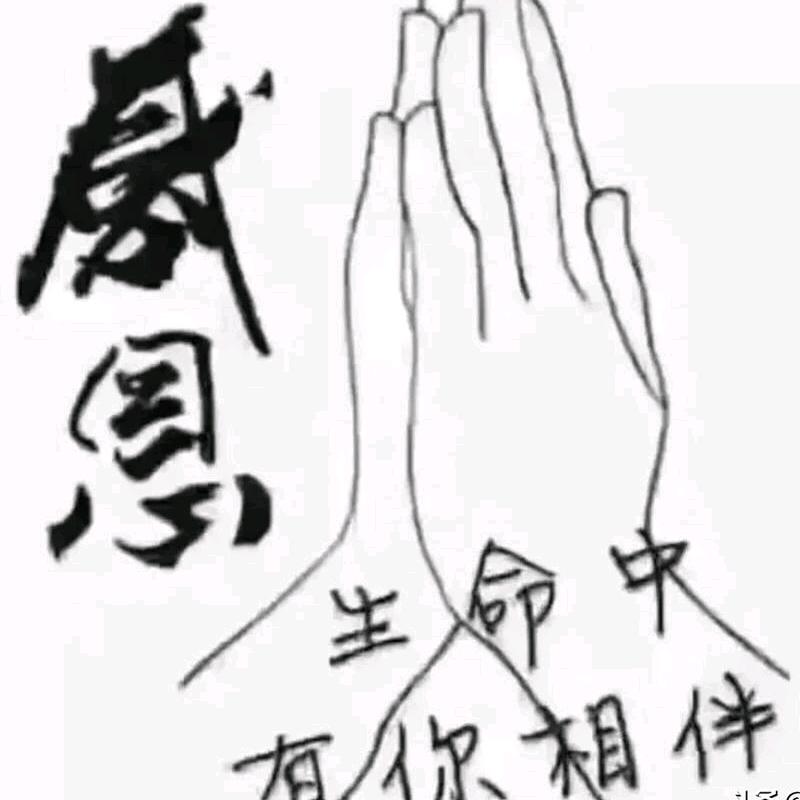 浮梦人生