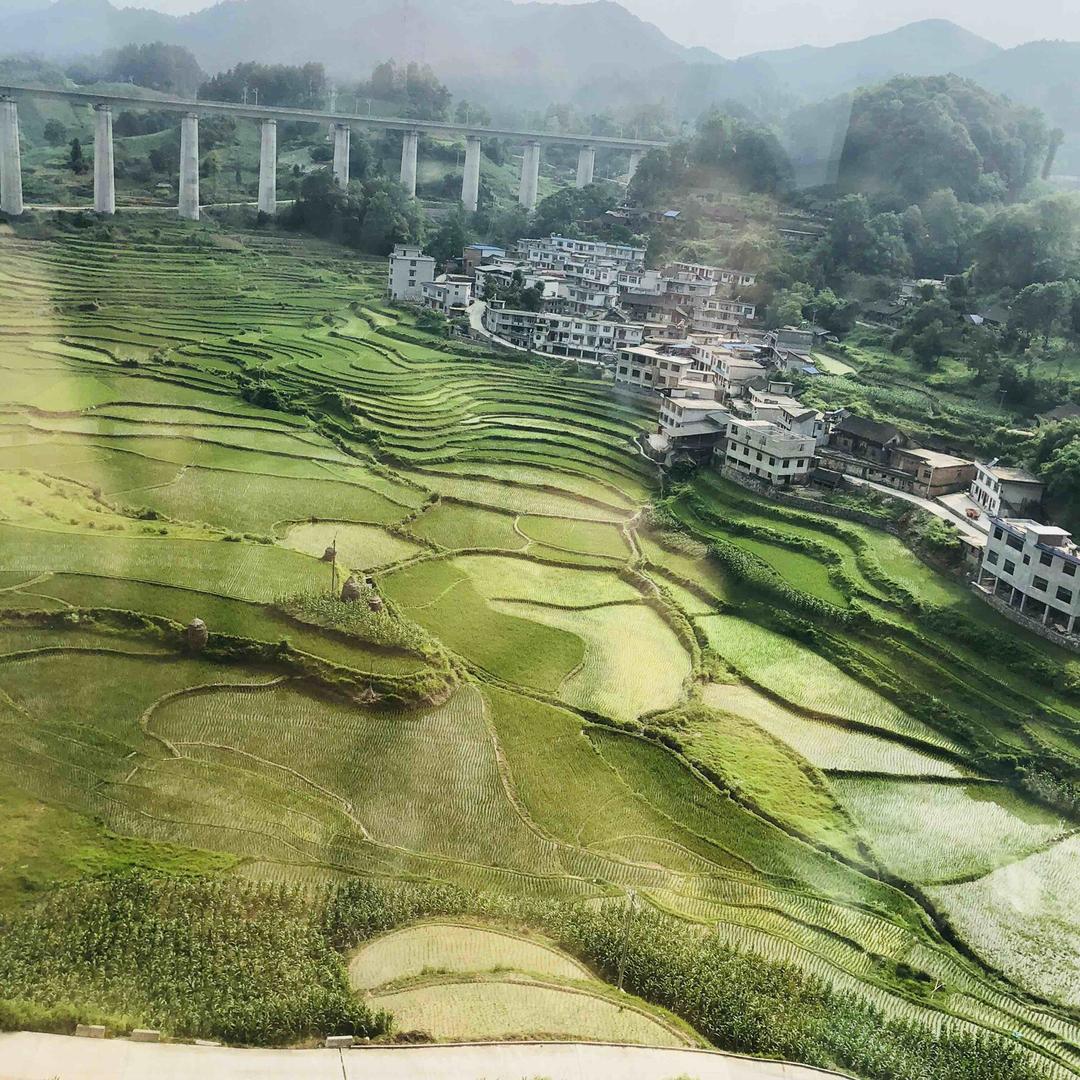 陌路相逢已陌路