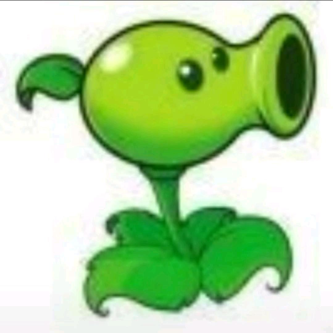 楠子