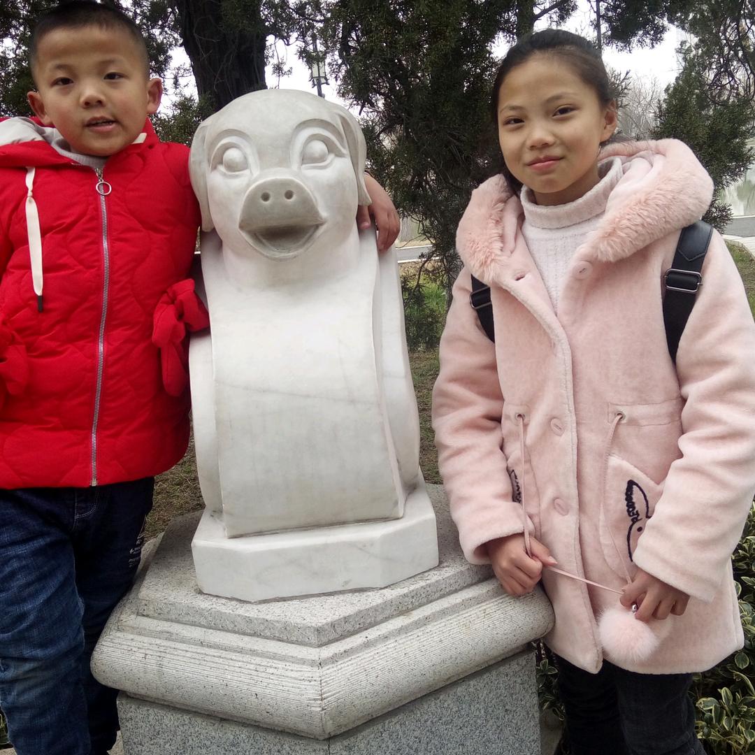 天若有情