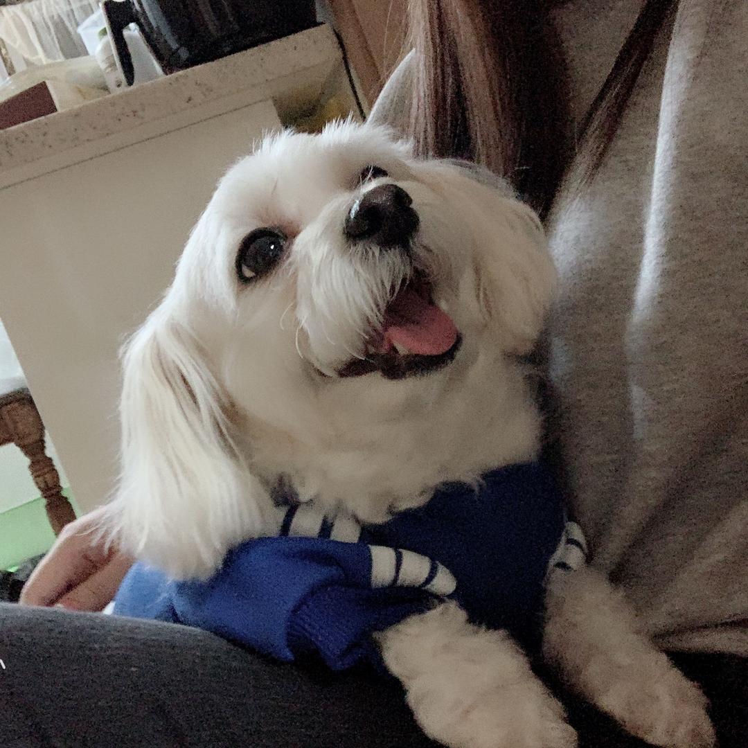 여늬