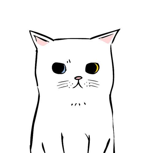 司琴