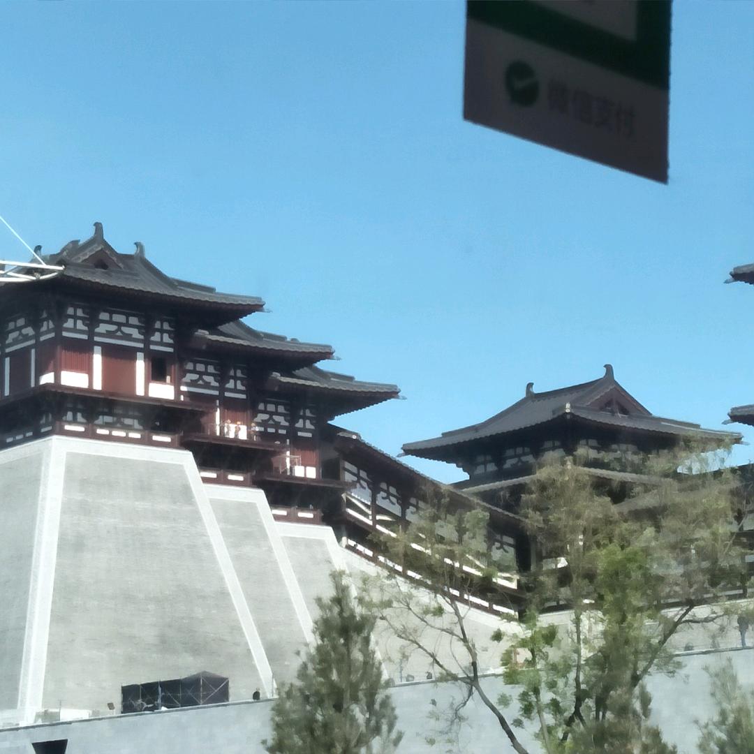 徐二小姐