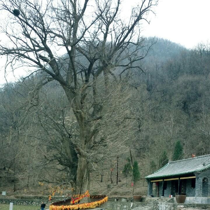 吕途有你