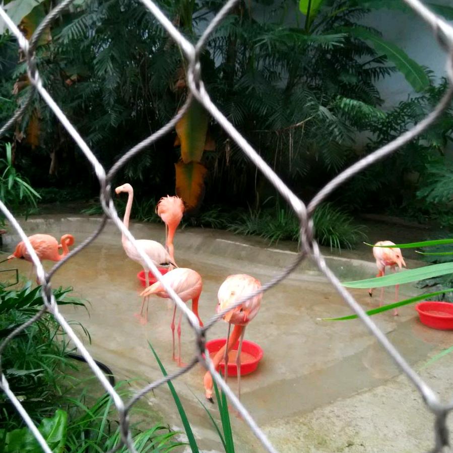 太阳