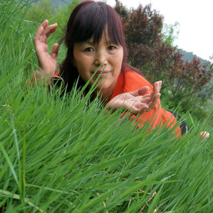 高高兴兴过好每一天