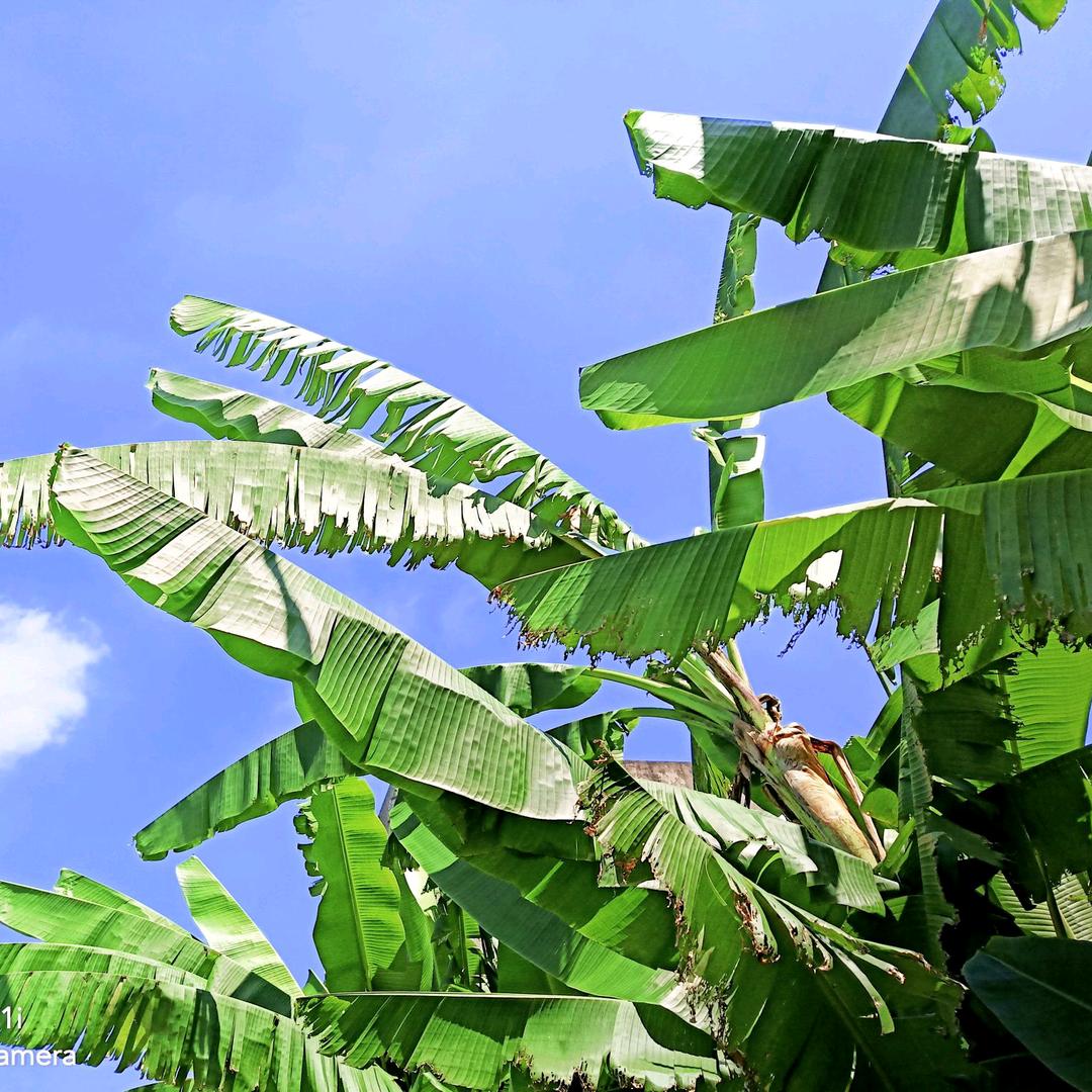 烟花再美@不过瞬间&