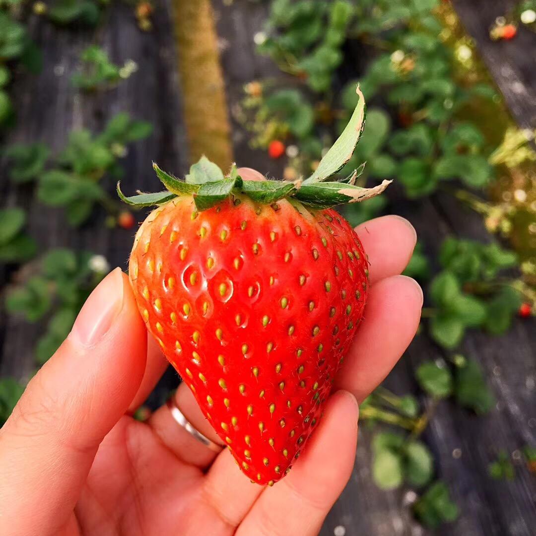 花蝴蝶🦋花蝴蝶🦋
