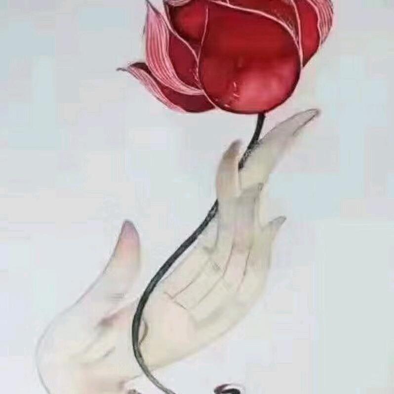 杨九月