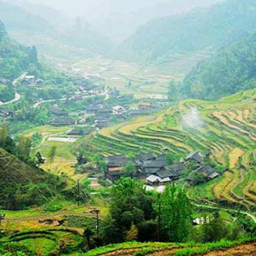 (･᷆ω･᷇)×禁止抬杠×