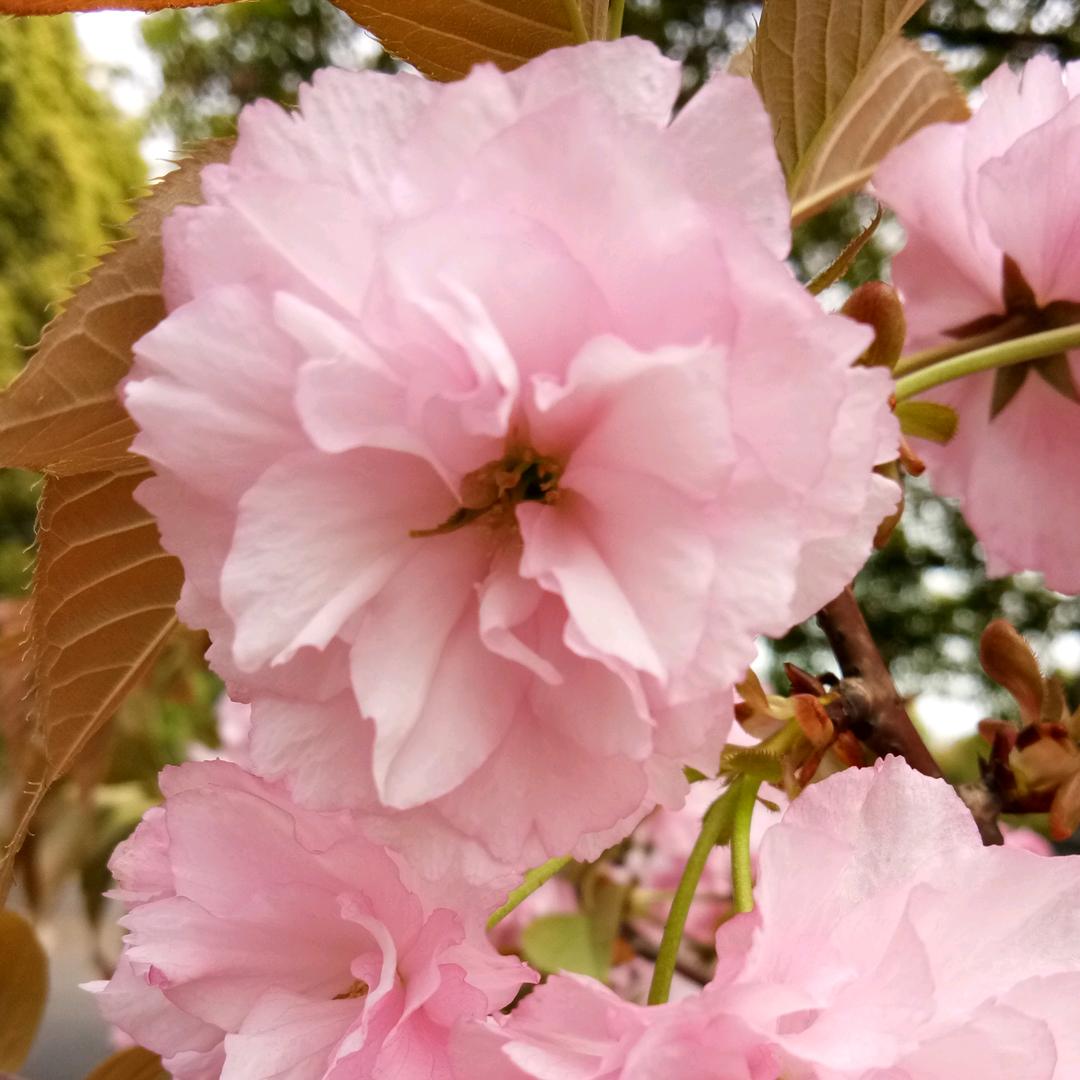 珍惜