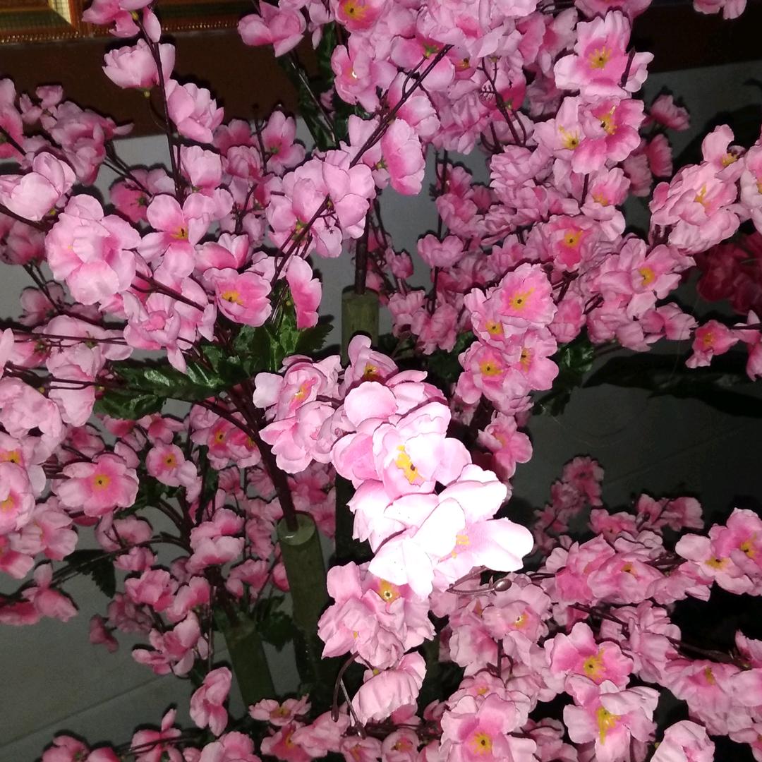 李芳