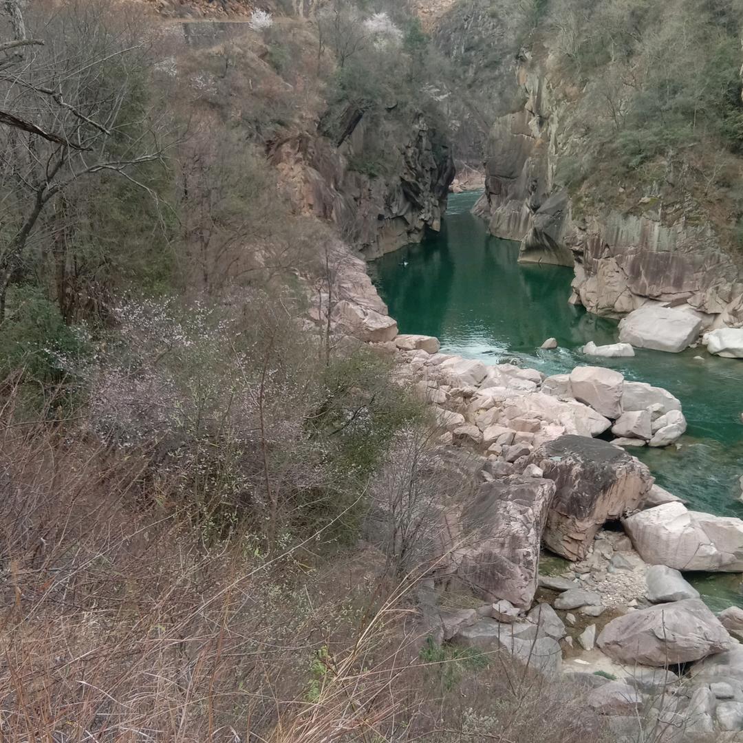 向前看后面看不见