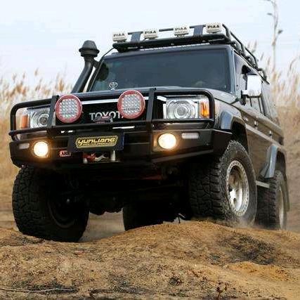 爱喝茶🍵的宋村长