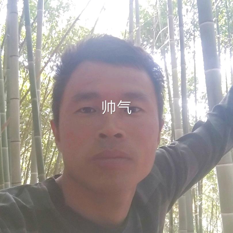 习惯了不习惯的习惯