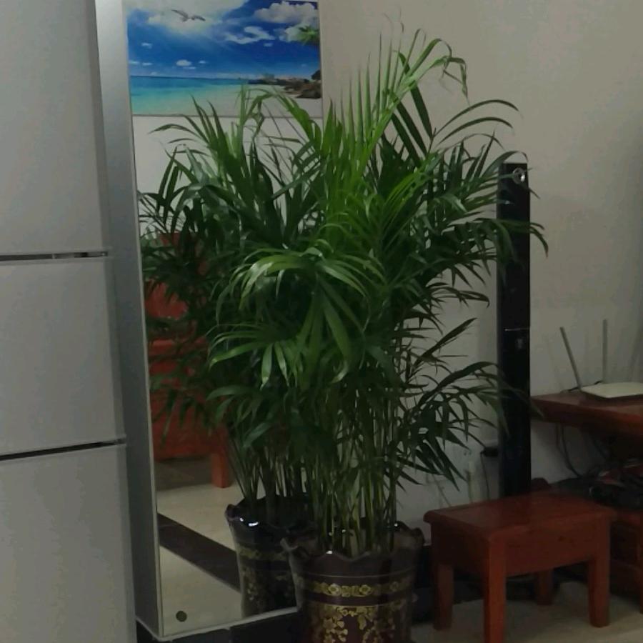 斌哥聊首播