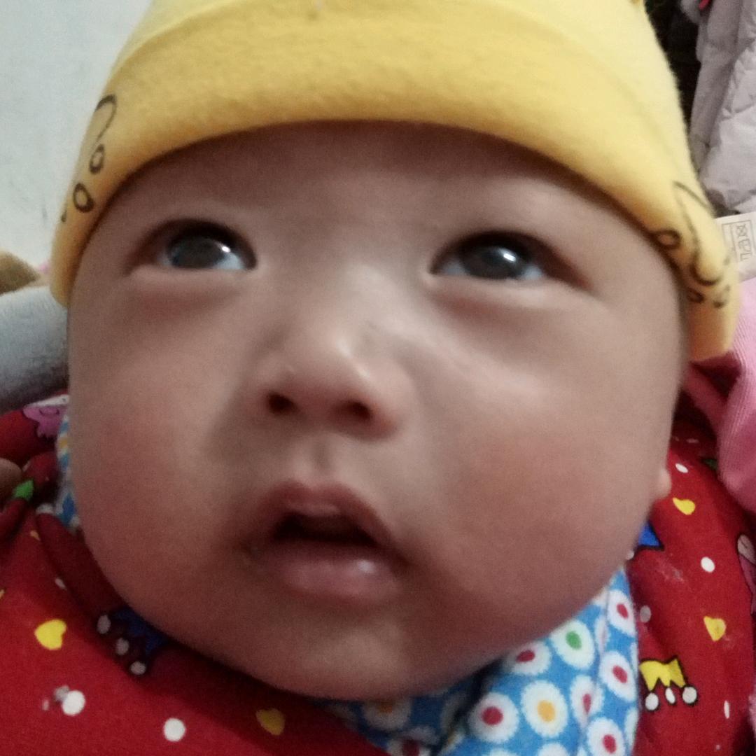 河南丽姐