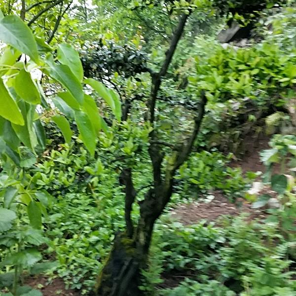 靠人不如靠自己