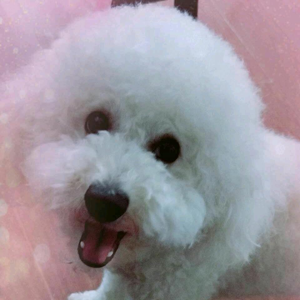 ❤晴😘美美哒☆