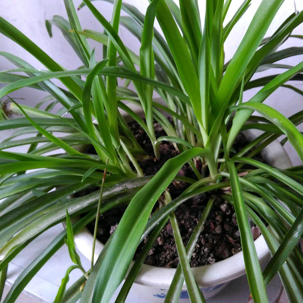 ╭(╯ε╰)╮☆方☆╭(╯ε╰)╮