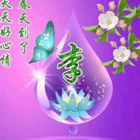 忘忧草