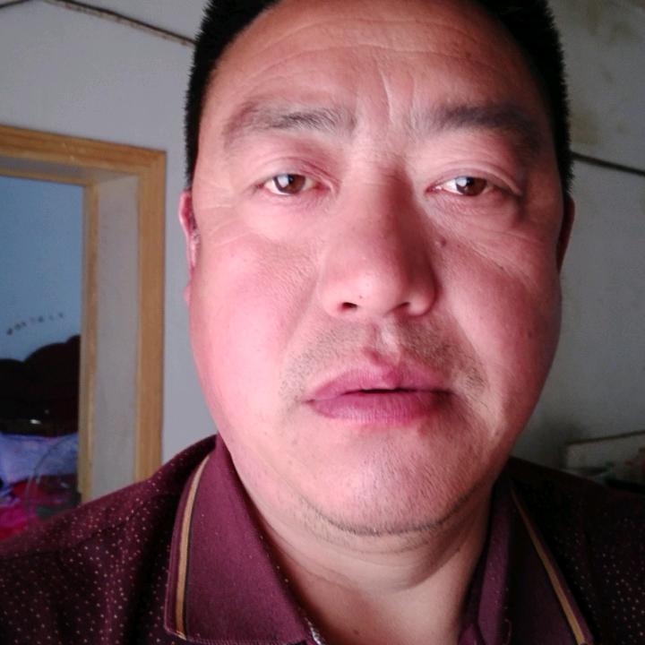 陈伍