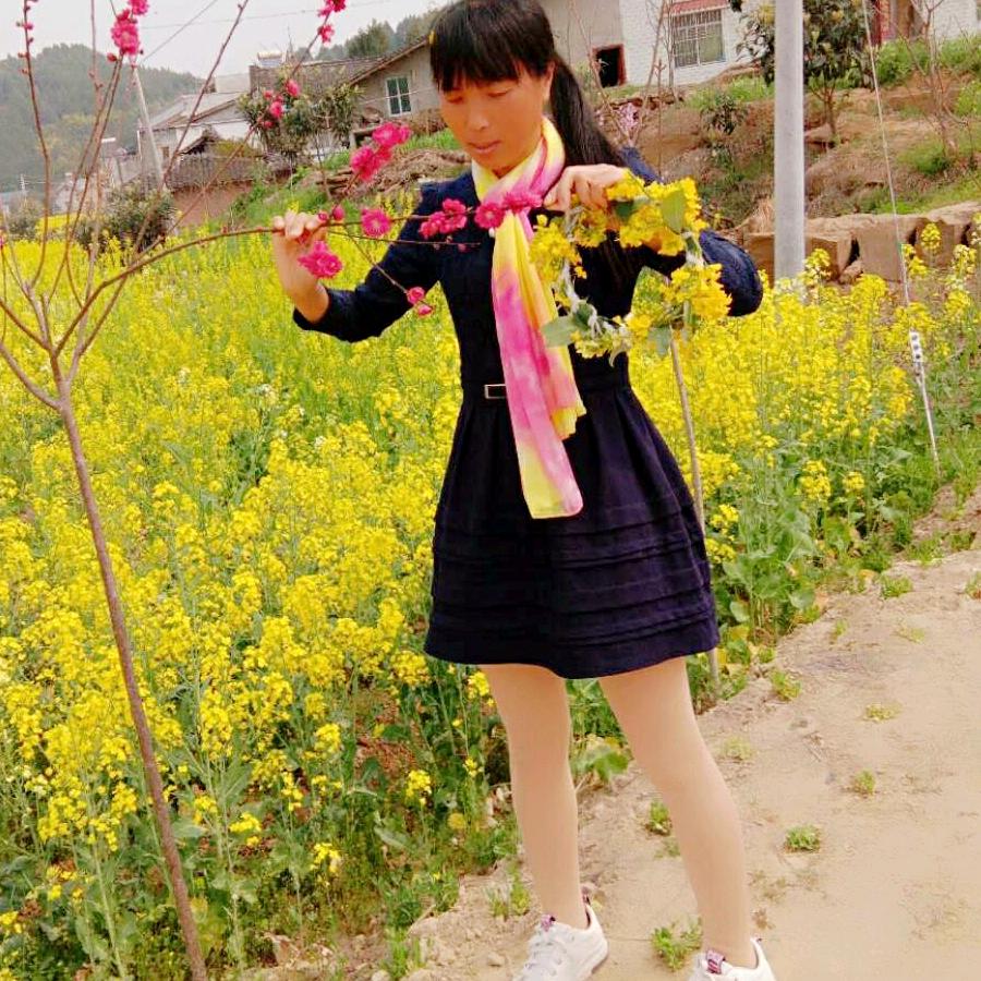 燕子自由飞翔