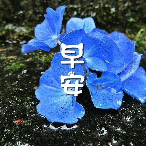 青春装备