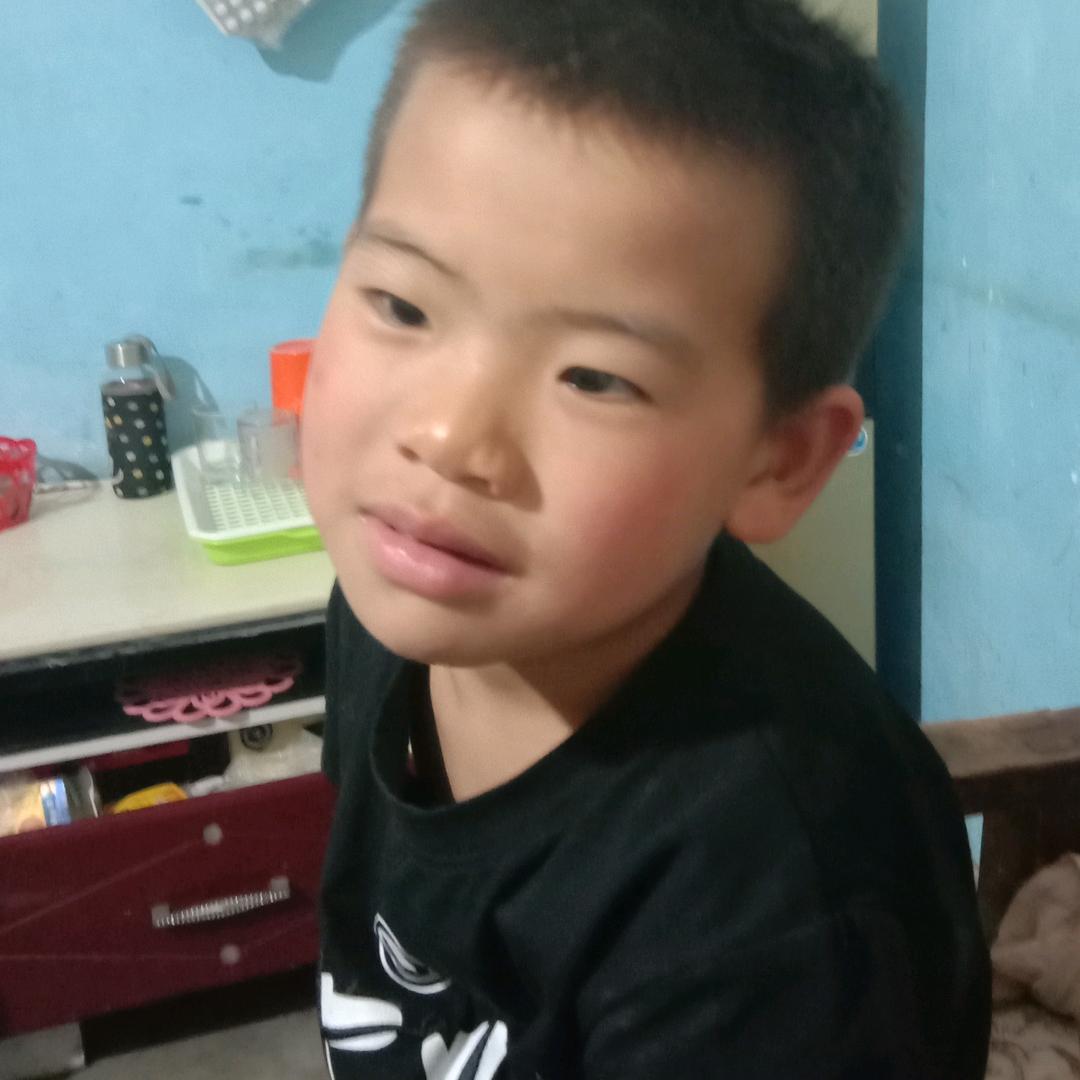宋书苹