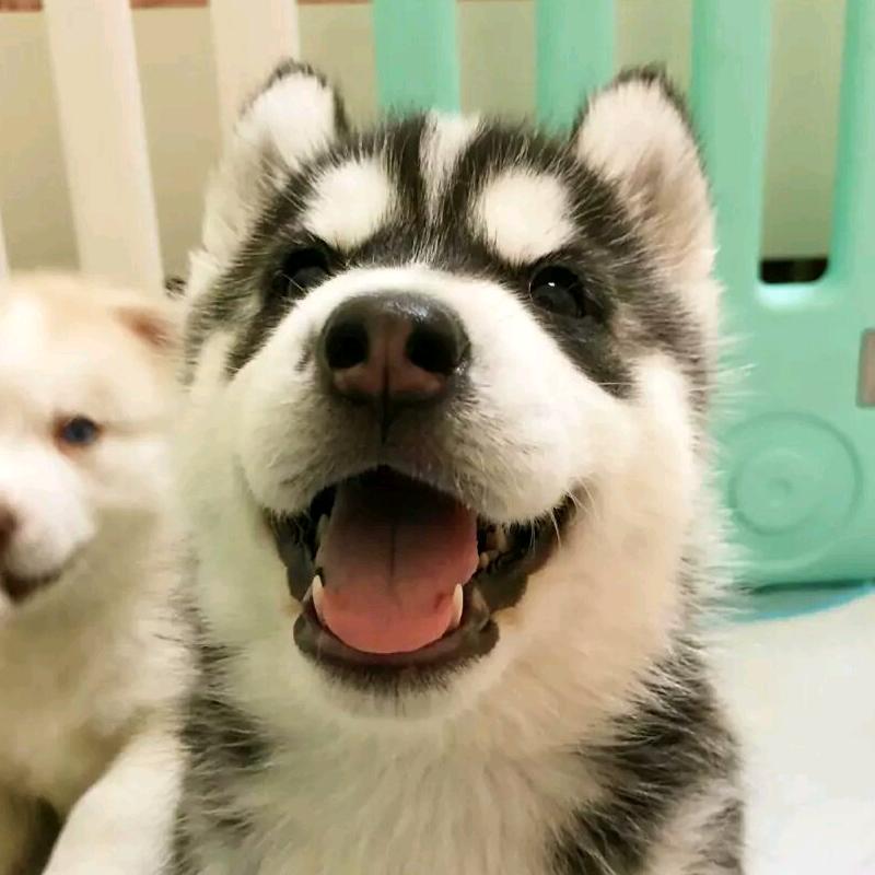 糖果时光^_^