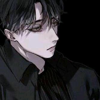 路人王少狸