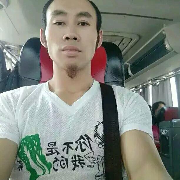 痴情的兔子
