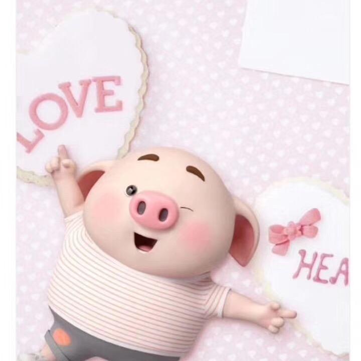章鱼小丸子🍡