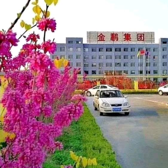金鹏集团——矿山Epc工程--于建环