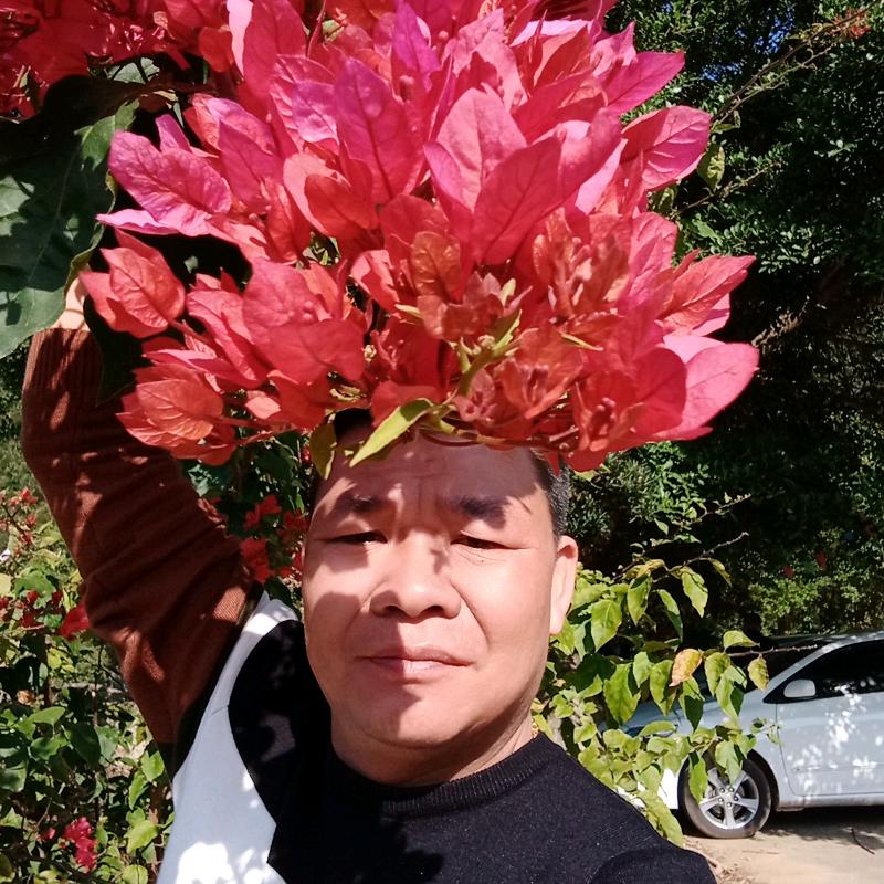 放牛这边山歌