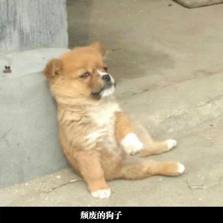 秦思允