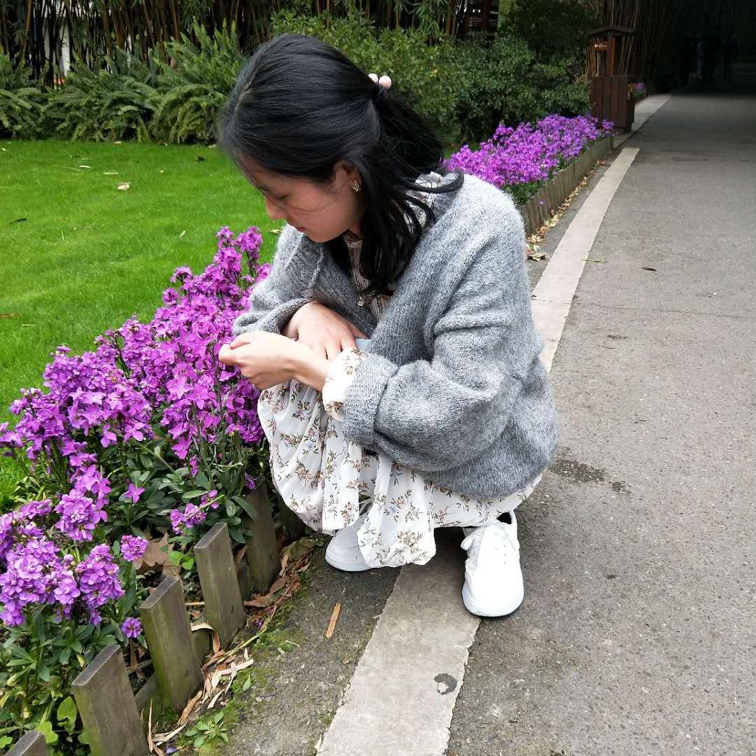 青鸢。