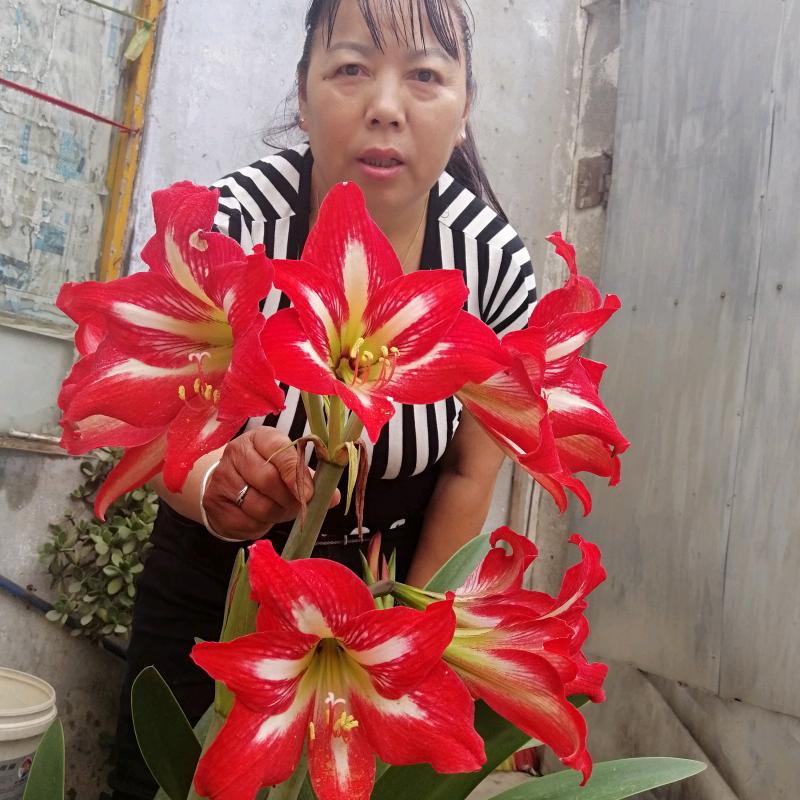 吴大妈