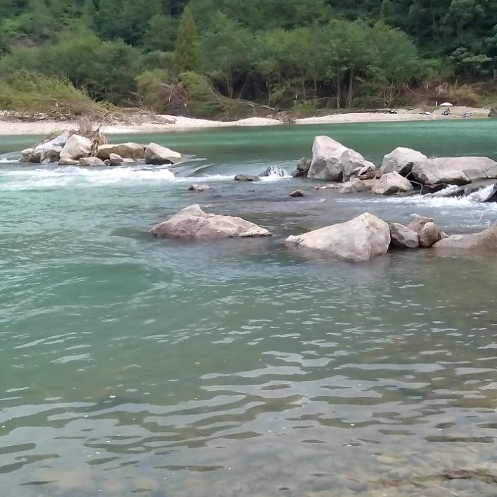 盼盼姐园艺
