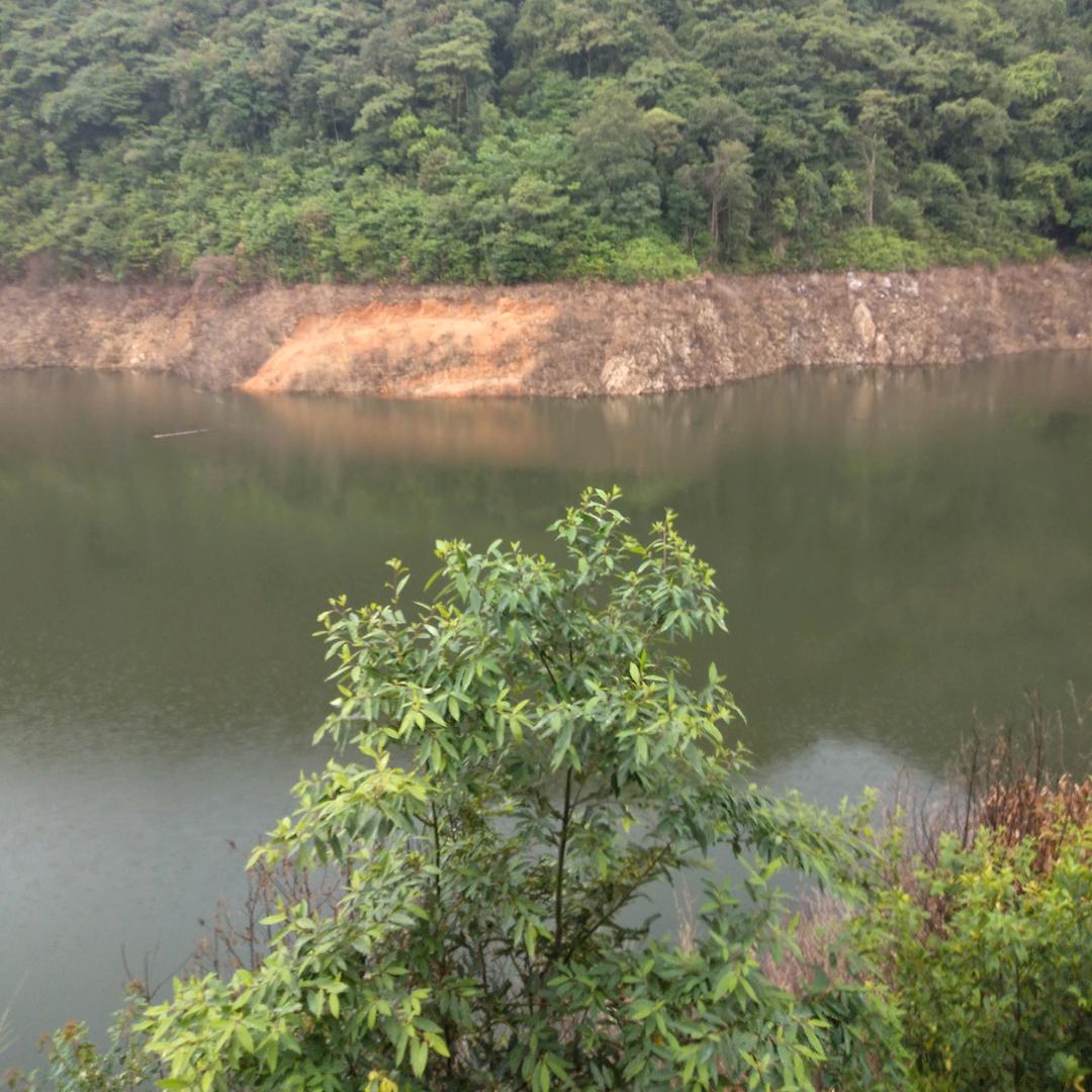 ꧁༺湖库野钓阿天༻꧂