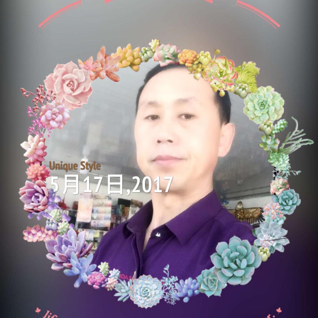 龙翔天下