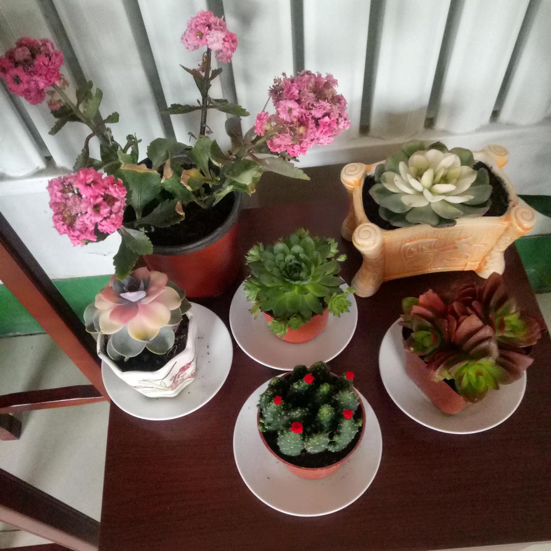敏♥